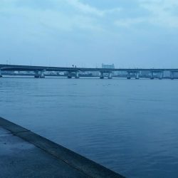 雨後は若干状況の変化あり。でも時合に5匹ゲット。